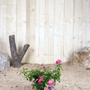 Rosa Emera ® Cont bleu 2 L Touffe / Avec PLV
