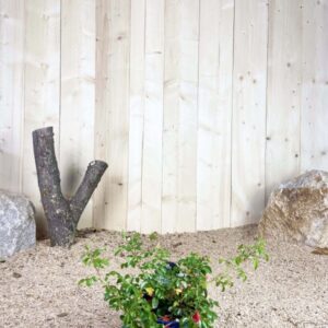 Rosa Kadora ® Cont bleu 2 L Touffe