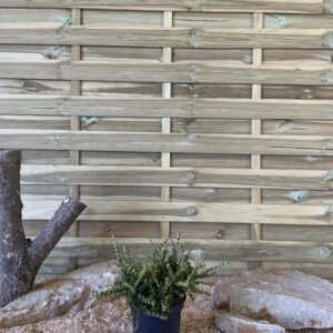 Cotoneaster Horizontalis Cont 3 L 20/30